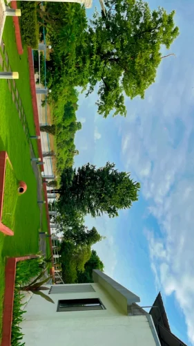 4072F4CE-BE8A-4D9F-B251-4E5DDEC9AA22