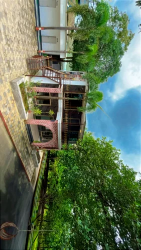 C9E80512-C211-4657-A745-30DF61E8EEB4